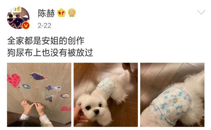 陈赫一家三口去迪士尼,只晒女儿不晒妻子,新一任女儿奴闪亮登场