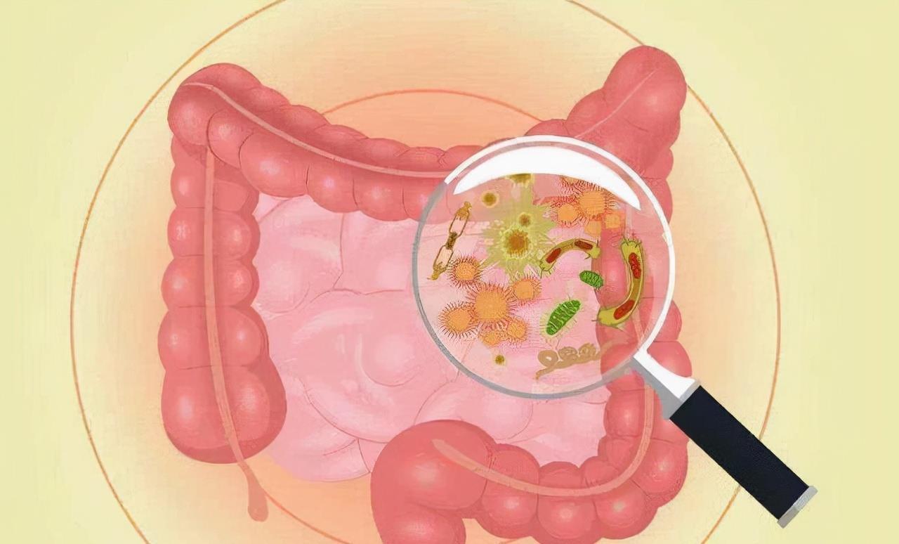 人类拉的屎为什么会臭（吃屎对身体有什么影响）(图5)