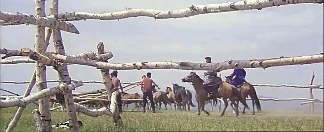 田壮壮个人资料简介代表作（一代名导田壮壮，退圈了）