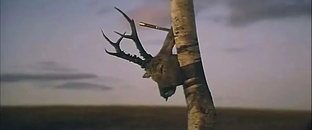 田壮壮个人资料简介代表作（一代名导田壮壮，退圈了）