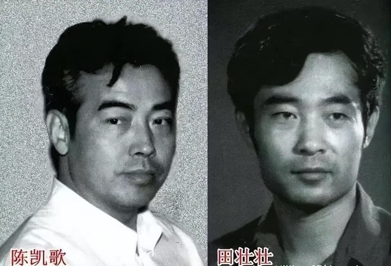 田壮壮个人资料简介代表作（一代名导田壮壮，退圈了）