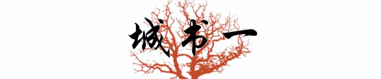 余秀华简介个人资料（“荡妇”余秀华的风流人生，和她不为人知的反抗之路）