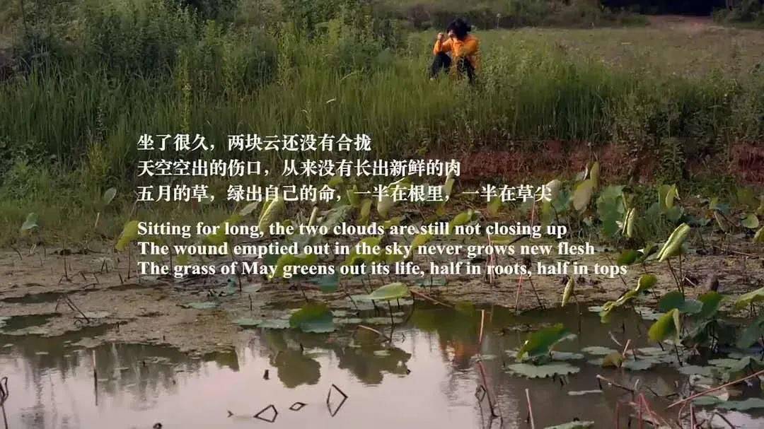 余秀华简介个人资料（“荡妇”余秀华的风流人生，和她不为人知的反抗之路）