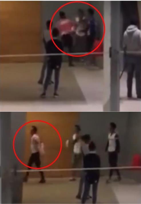 郑凯个人资料简介详细(