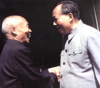 ​李宗仁简介个人资料（李宗仁回国后安排的职务）