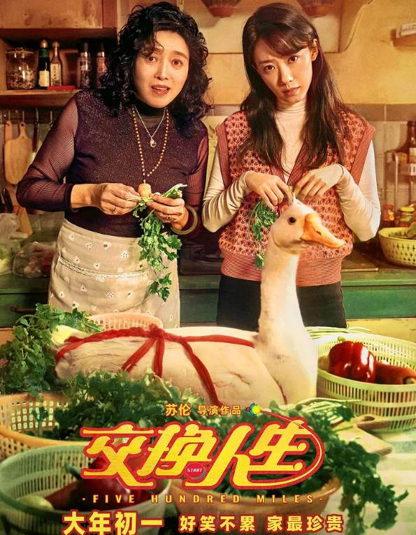 继《李焕英》后，“沉睡”的张小斐，终于凭《交换人生》赢了！