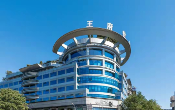 王艳老公是谁(“晴格格”王艳:23岁嫁富商,老公比她大11岁,王烁是她的继子)