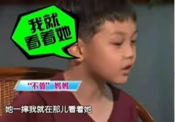 王艳老公是谁(“晴格格”王艳:23岁嫁富商,老公比她大11岁,王烁是她的继子)