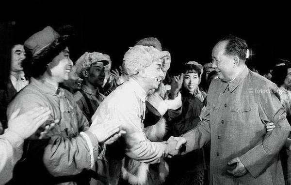 林海雪原简介(林海雪原内容介绍)