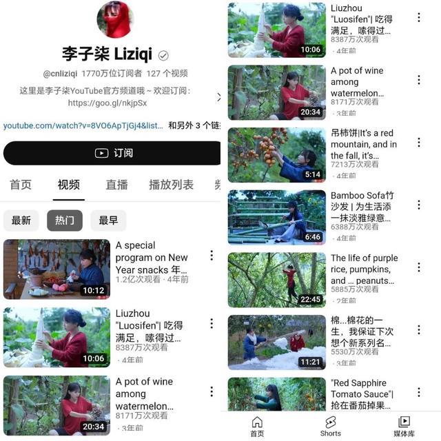 李子柒停更后掉粉834万 网传即将复出,能否重回顶流?