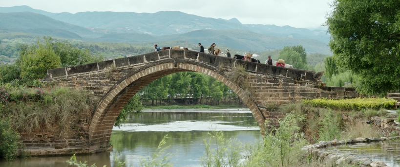 收视夺冠,脱下“古装”的刘亦菲,这剧治愈多少年轻人的精神内耗