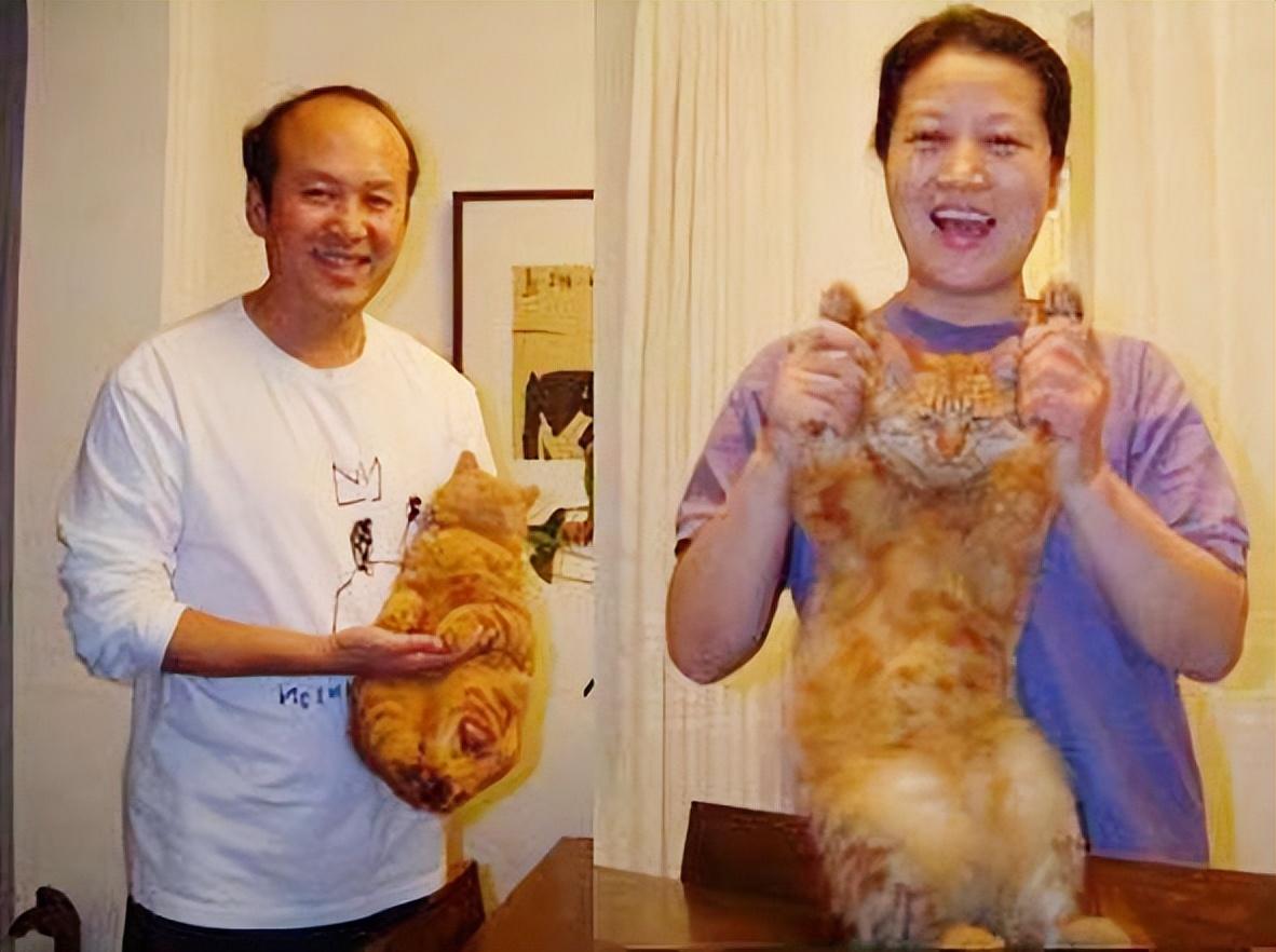 一贴膏药与丈夫结缘的著名演员蔡明，61岁的她有了烦心事