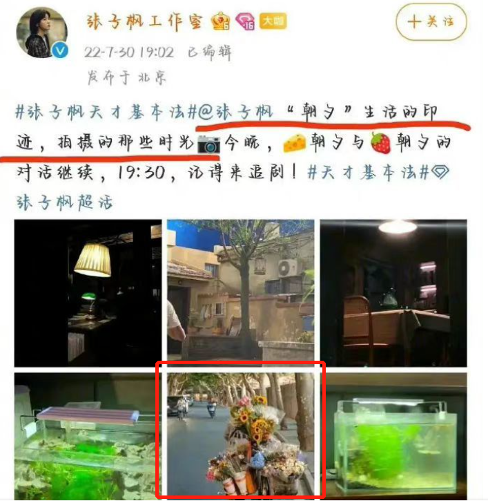“国民妹妹”张子枫:与彭昱畅成亲兄妹,受顶级京圈资源力捧