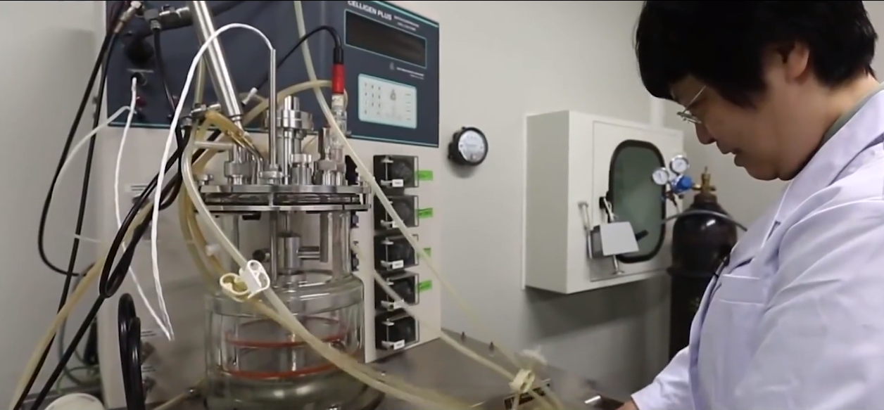 小城女孩到抗疫将军，中国生化防御武器领军人物，陈薇的传奇人生