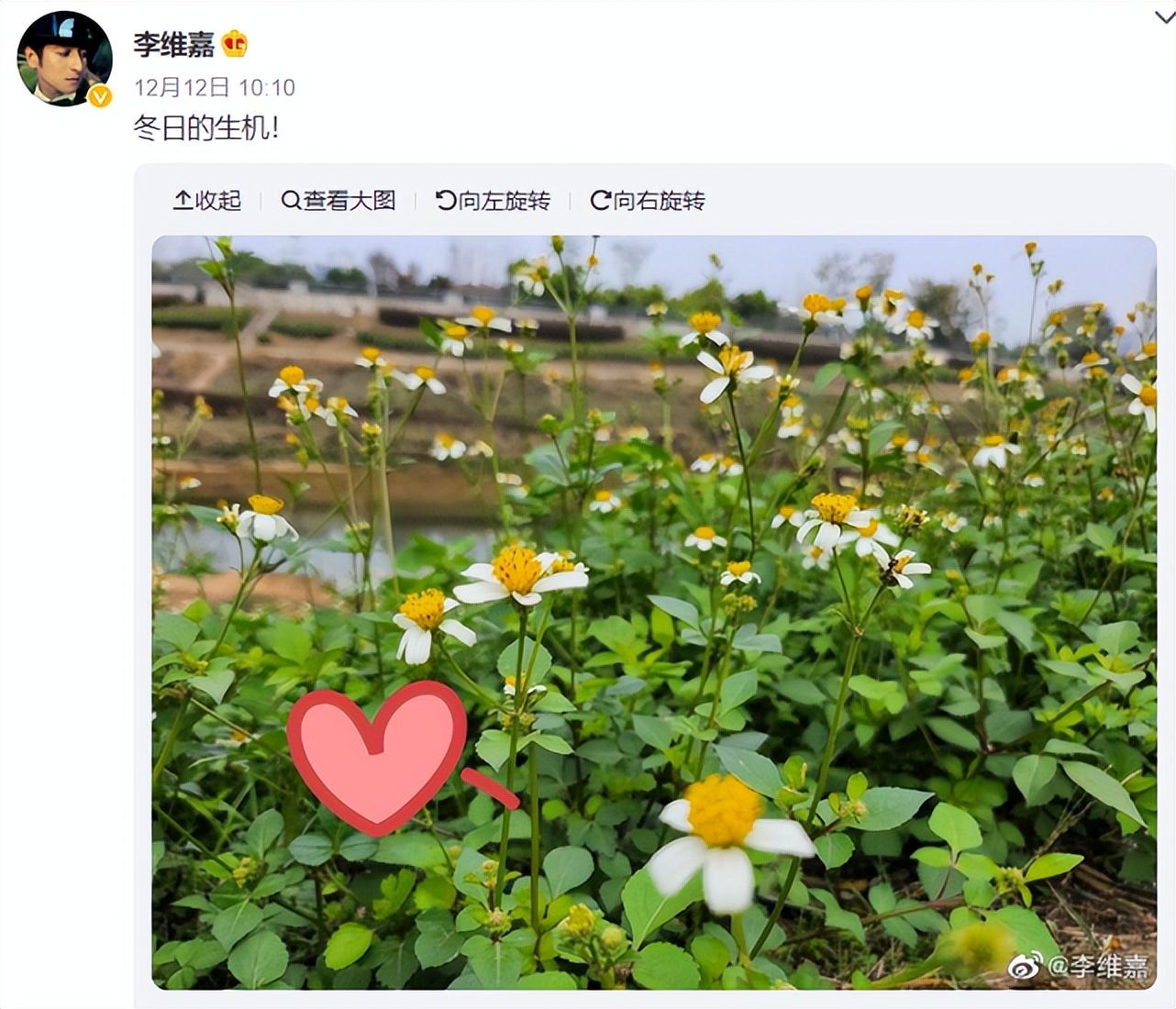 李维嘉正式回归，搭档王心凌主持新综艺，本人发动态透露好心情