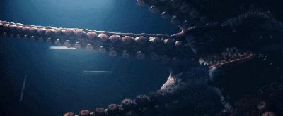 ​叶璇，这种烂片都敢接？！