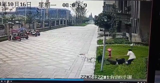 成都小女孩被黑狗咬伤 黑狗主人会面临什么刑罚？