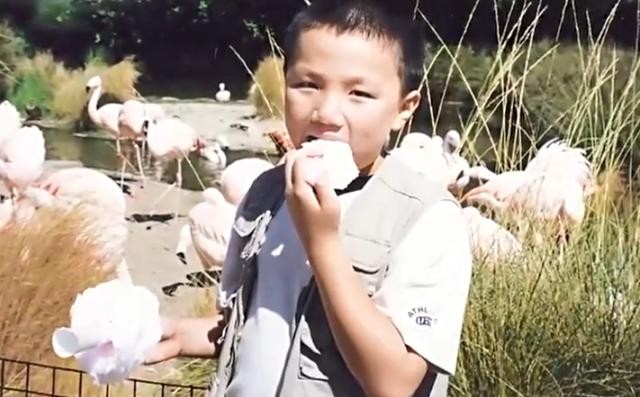 赵玉吉的个人资料(赵玉吉和宋丹丹认识28天后闪婚)