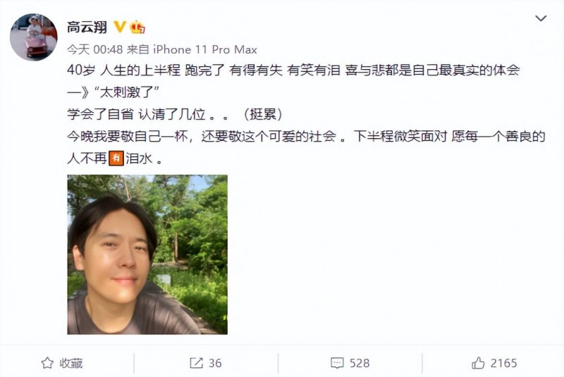 陈冲个人资料简介(被除名的4位国家一级演员)