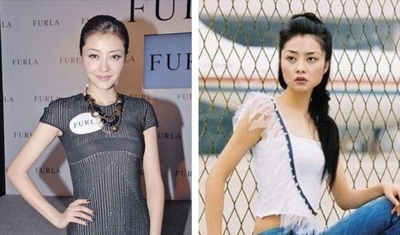 柳岩整容前后的对比(改头换面的7位女星)