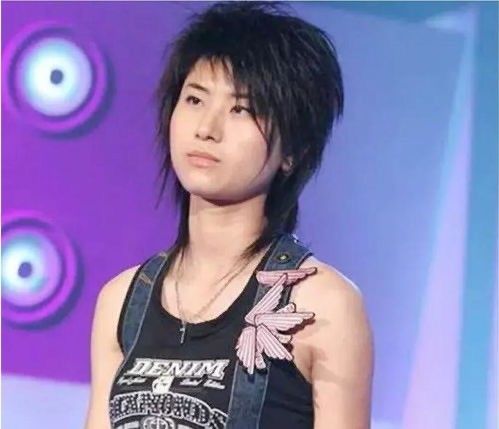 整形的明星盘点（10位明星因整容走向人生巅峰）