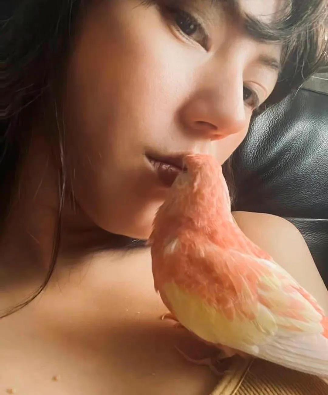 “姬圈大佬 ”“女娲毕设”—— 刘心悠