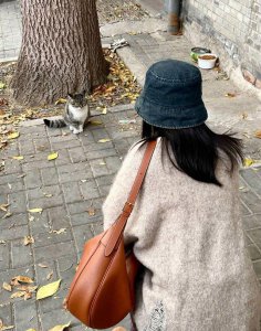 ​高圆圆晒北京深秋随拍 漫步落叶胡同与猫咪互动