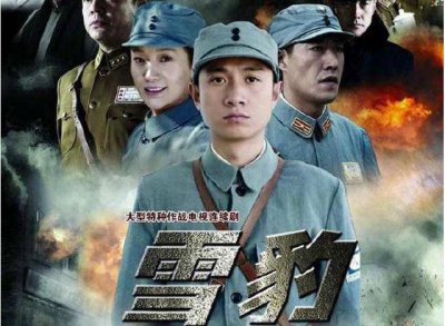 ​《雪豹》演员现状如何？如今12年过去，有人身陷丑闻，有人成顶流