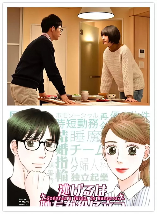 好看的漫改日剧推荐（日本漫改电视剧排行榜前十）