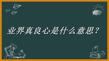 业界真良心是什么意思？