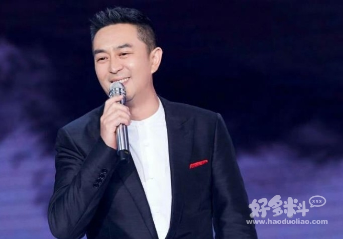 张嘉译为啥演谁都是一副痞子样 张嘉译的演技如何