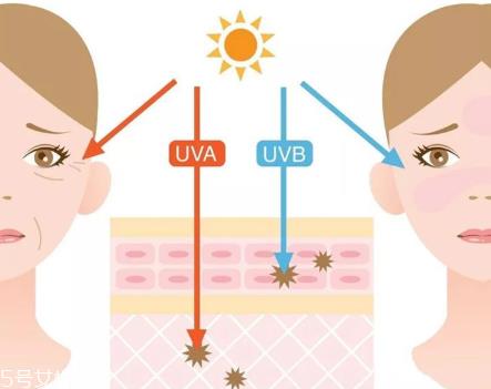干皮怎么防晒最有效 3步就搞定干皮防晒