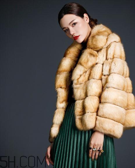 裘皮大衣是什么动物皮?裘皮大衣怎么保养? 裘皮大衣是什么动物皮?裘皮大衣怎么保养?