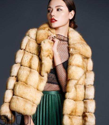 裘皮大衣是什么动物皮?裘皮大衣怎么保养? 裘皮大衣是什么动物皮?裘皮大衣怎么保养?