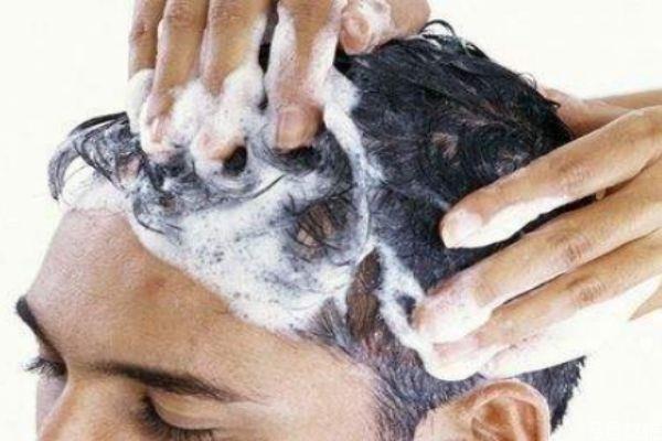 茶麸怎么用来洗头 茶麸洗头有哪些好处