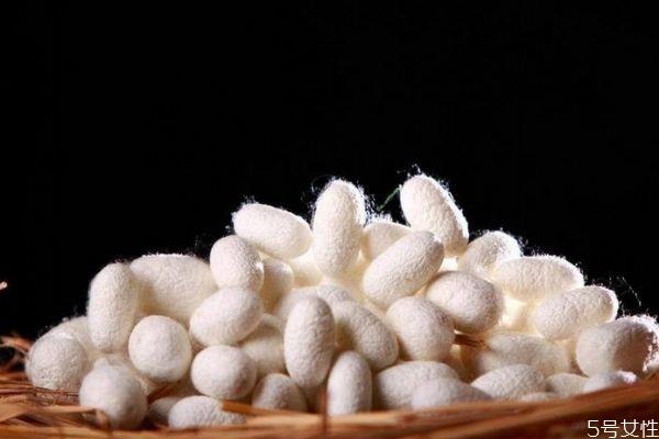 蚕丝的面料有什么作用呢 蚕丝衣服有什么优点呢