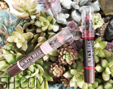 小蜜蜂唇膏笔多少钱？小蜜蜂唇膏笔很贵吗？