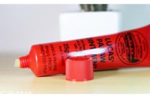 澳洲木瓜膏的功效与作用 几乎是万能的 澳洲木瓜膏的功效与作用 几乎是万能的