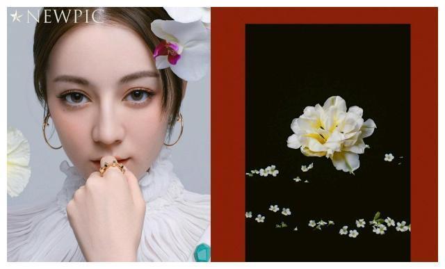 迪丽热巴超燃热舞帅爆全场，酷炫大片惊艳众人，网友：胖迪最棒的