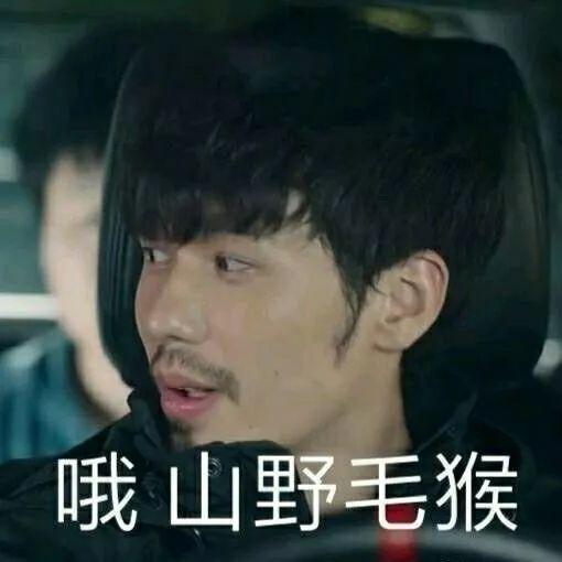 史上最全沙雕情侣头像合集哈哈哈哈哈哈哈哈哈