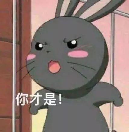 史上最全沙雕情侣头像合集哈哈哈哈哈哈哈哈哈