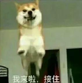 史上最全沙雕情侣头像合集哈哈哈哈哈哈哈哈哈