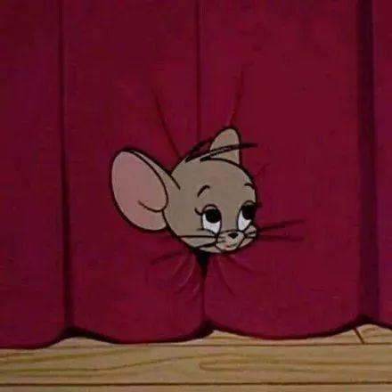 史上最全沙雕情侣头像合集哈哈哈哈哈哈哈哈哈