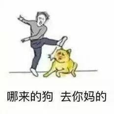 史上最全沙雕情侣头像合集哈哈哈哈哈哈哈哈哈