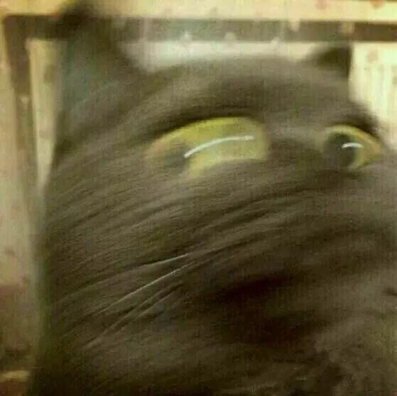 史上最全沙雕情侣头像合集哈哈哈哈哈哈哈哈哈