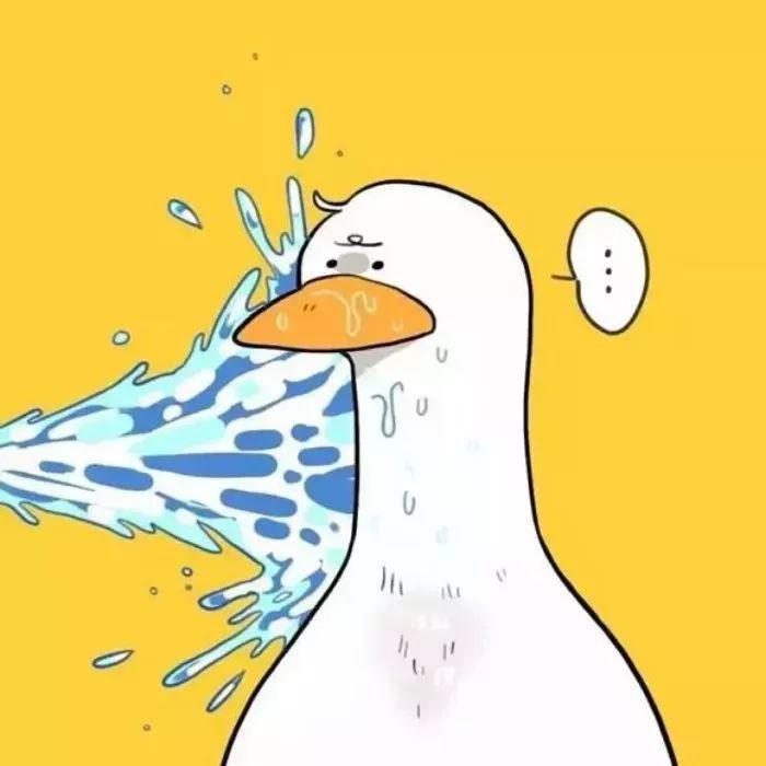 史上最全沙雕情侣头像合集哈哈哈哈哈哈哈哈哈