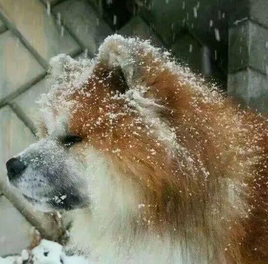 史上最全沙雕情侣头像合集哈哈哈哈哈哈哈哈哈