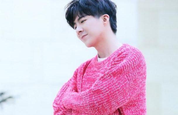 刘宇宁将踢馆《歌手》,实力却屡受质疑,回应:给我一首歌的时间