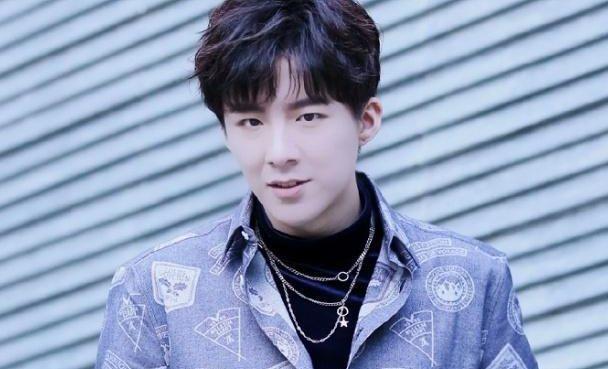 刘宇宁将踢馆《歌手》,实力却屡受质疑,回应:给我一首歌的时间