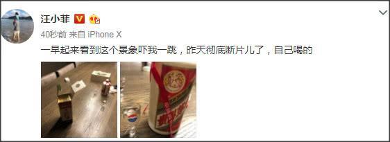 汪小菲喝醉后晒多张生活近照:发现女儿是主角,儿子是凑数的